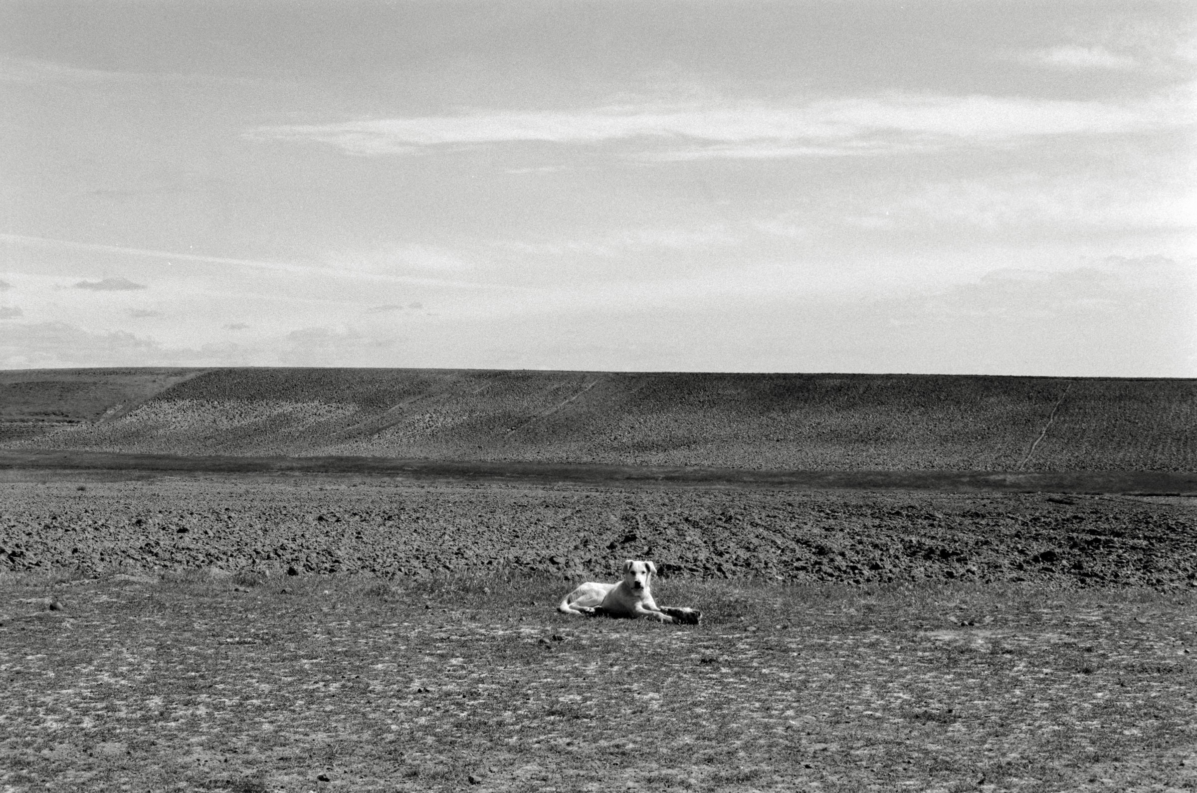 AHP F1995 05 009 sc240826 img19 NLP